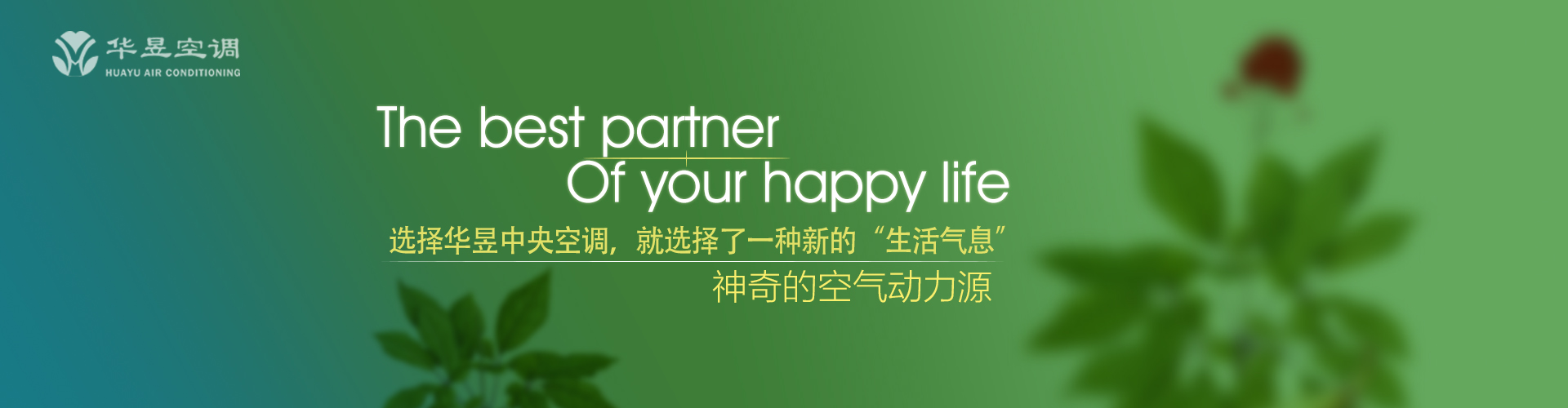 豹死留皮网